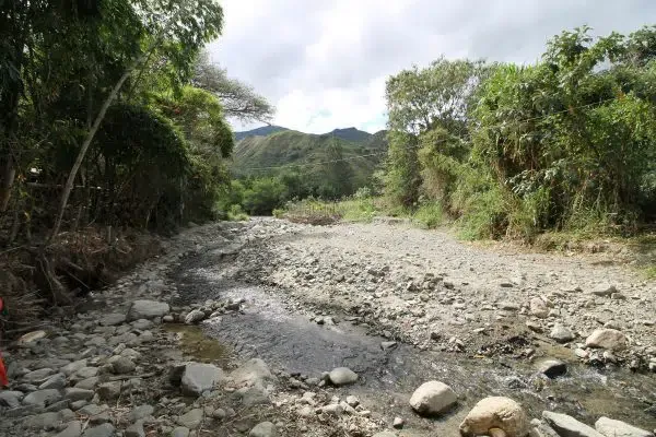 Discovering the Ideal Wellness Retreat in Ecuador