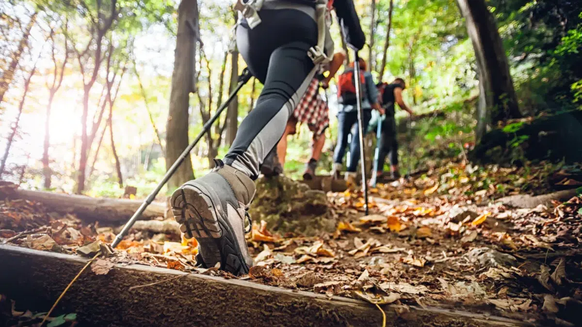 The Ultimate Guide to Staying Safe While Hiking