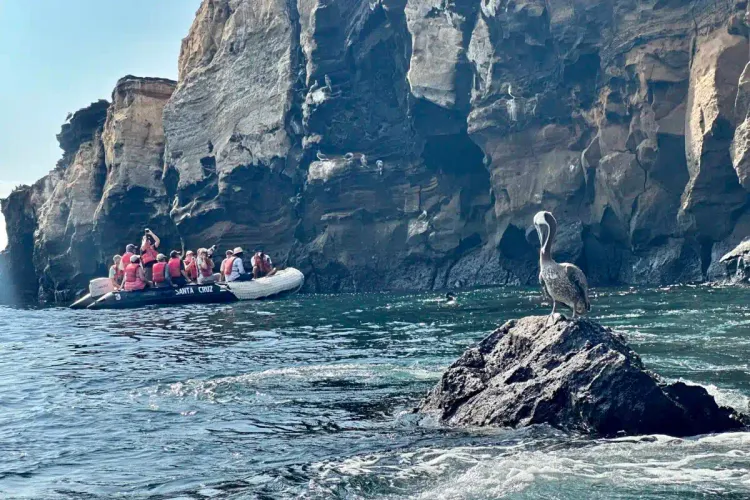 Cruising the Galapagos with Hurtigruten Expeditions