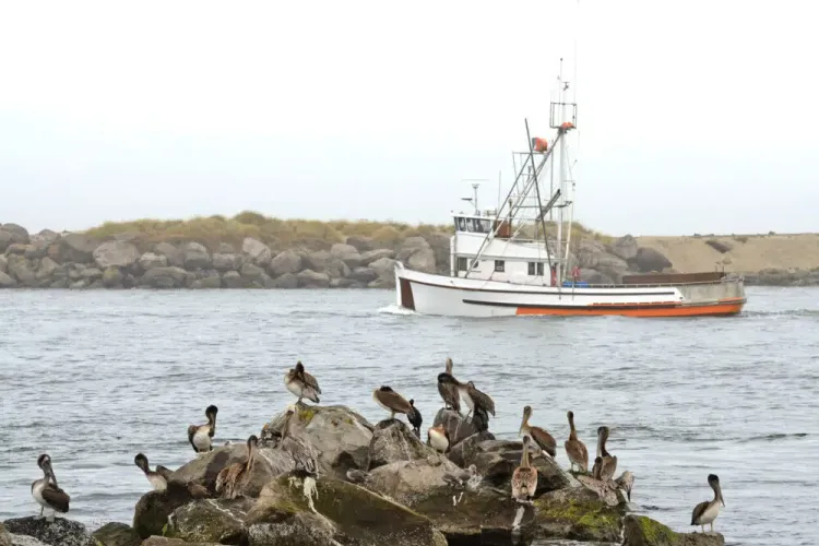 Explore Hidden Coastal Gems and Fishing Along the Pacific Coast