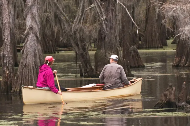 Adventure Camping At Caddo Lake, Texas