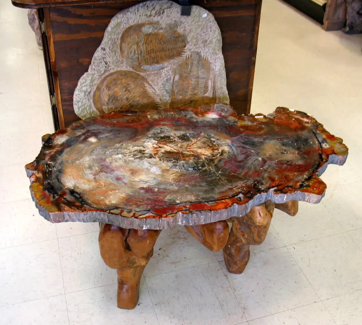 Petrified Wood Table - Arizona road trip