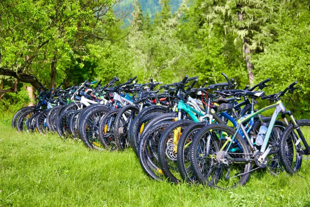 Lot of mountain bikes are parked in a green clearing on a sunny summer day.