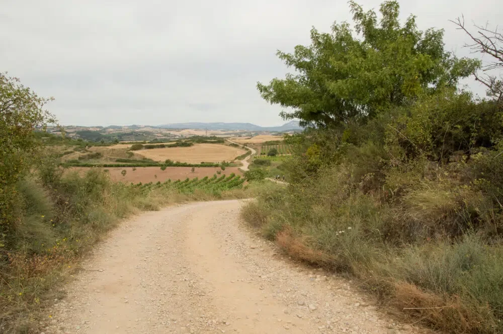 Camino de Santiago from Puente la reina to Estella