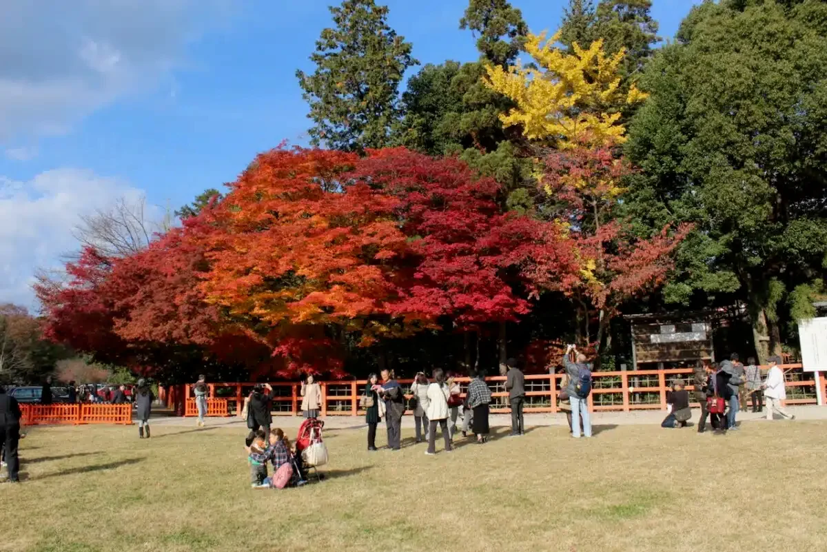 Nara fall splendor