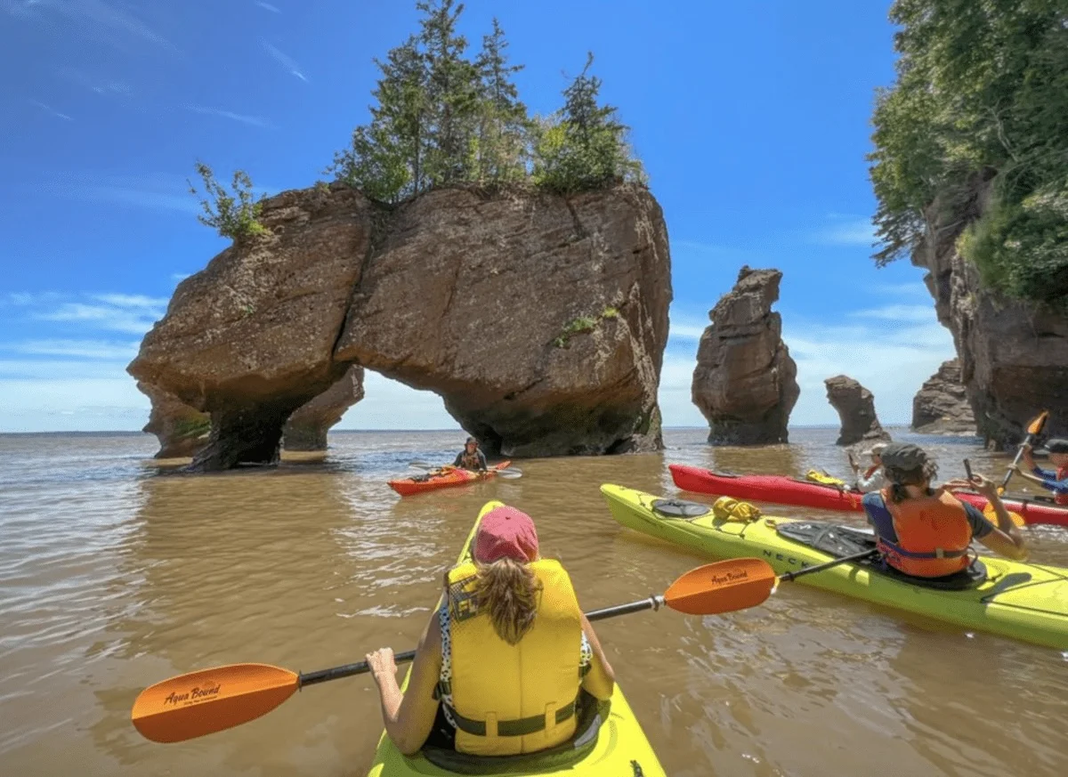 sea kayaking on the bay of fundy -paddling among the flowerpot rocks