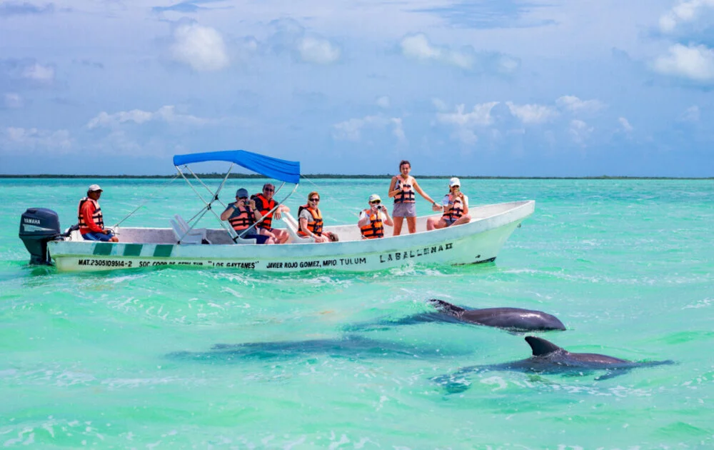 a group of people on a boat in the ocean with dolphins
