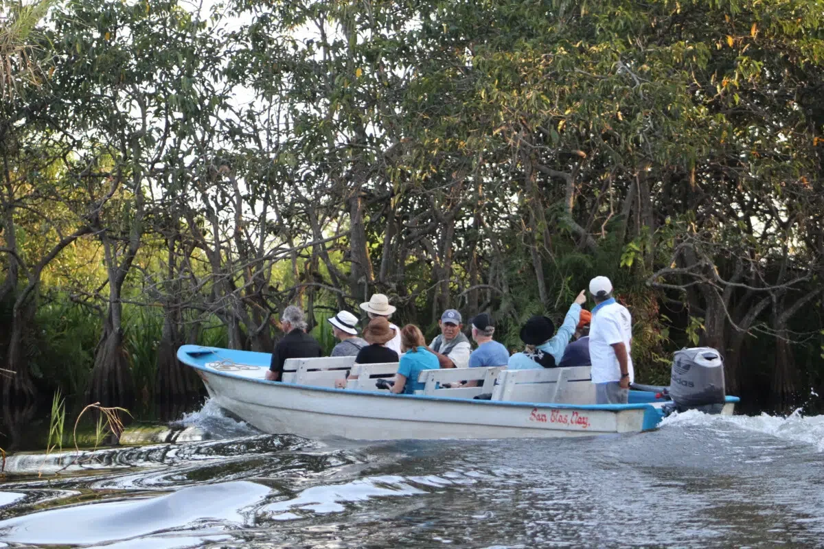 Birding Tour San Blas