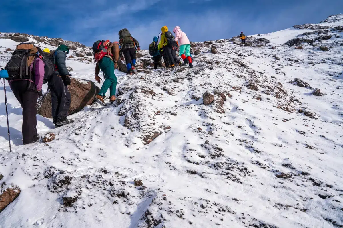 Group of trekkers hiking among snows and rocks of Kilimanjaro mountain near Uhuru peak.