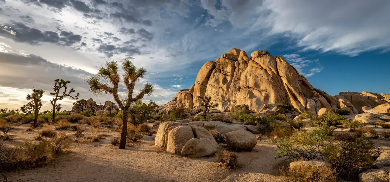 Joshua Tree National Park