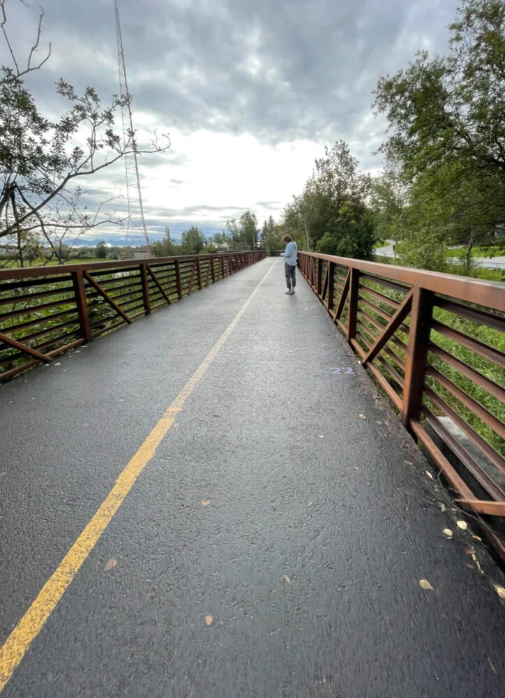 This bridge in the Tony Knowles coastal trail passes many of the smaller waterways of Alaska. These waterways are home to the many birds of Alaska.