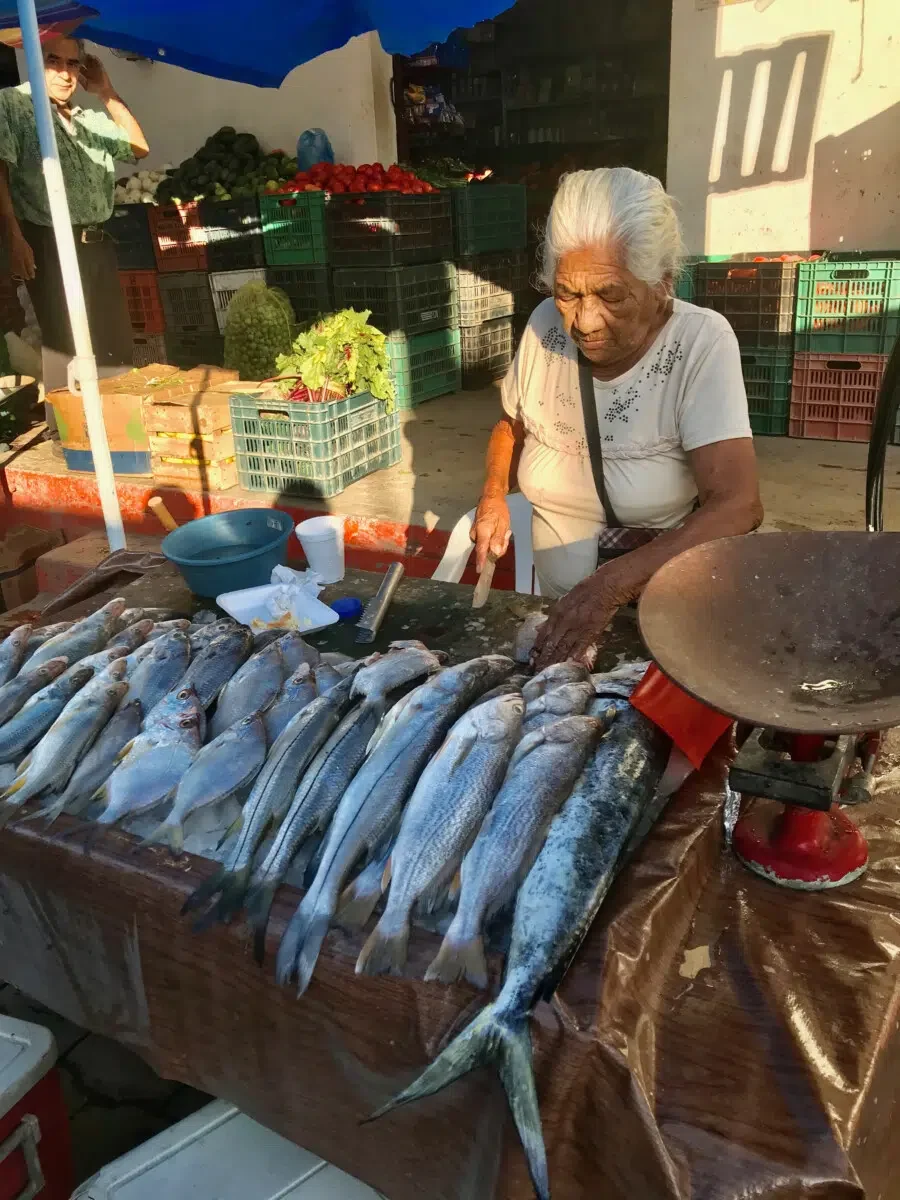 Fish Market San Blas