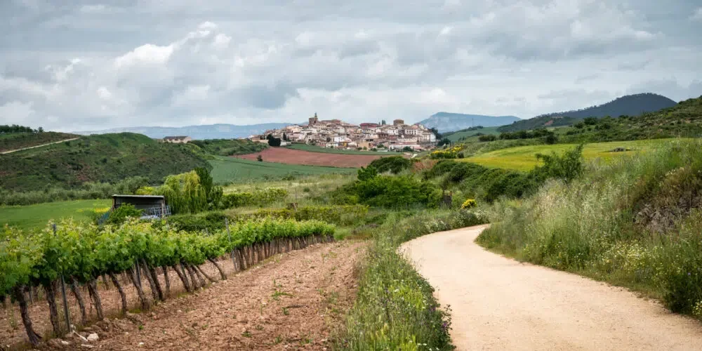 A dirt road winding through vinyards on the way to the Spanish Village of Cirauqui. This apart of the Camino Way