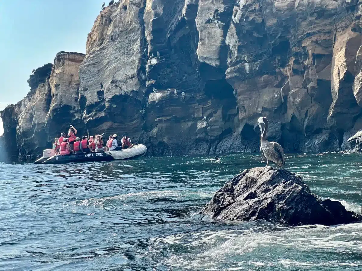 Looking for wildlife on a panga ride.