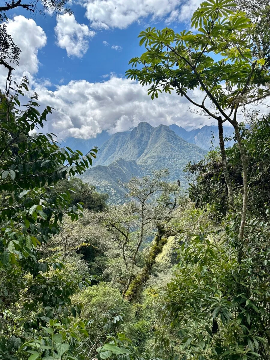 Machu Picchu hike18