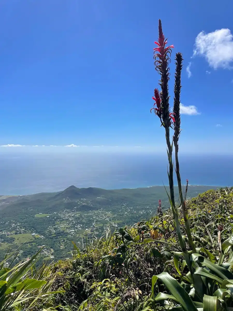 View from Nevis Peak.