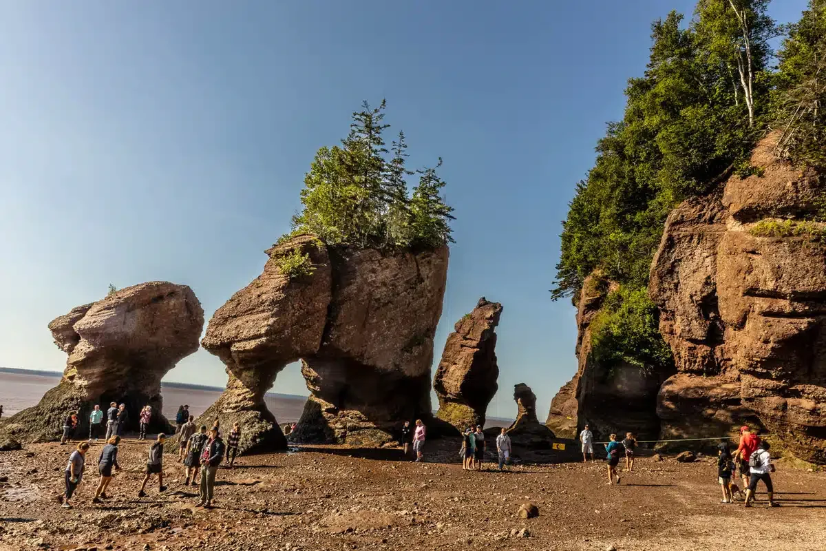 sea kayaking on the bay of fundy -hopewell rocks at low tide