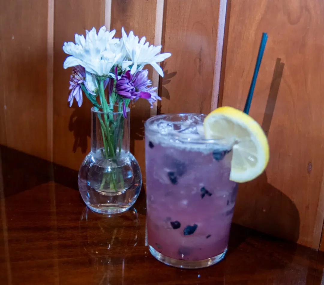 Blueberry fizz cocktail