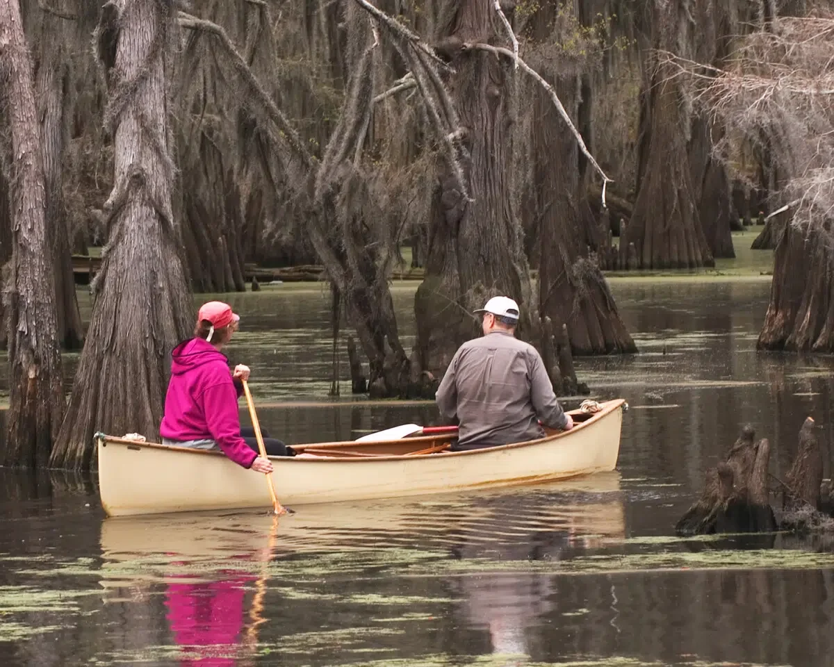 Recreational canoers on Caddo Lake in eastern Texas enjoying a spring weekend. Photo by gapwedge via iStock by Getty Images