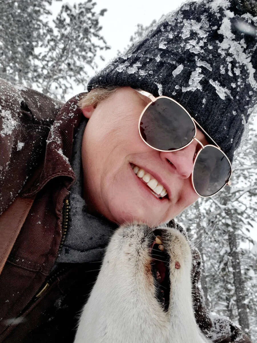 I will definitely go dog sledding again if I get the chance.