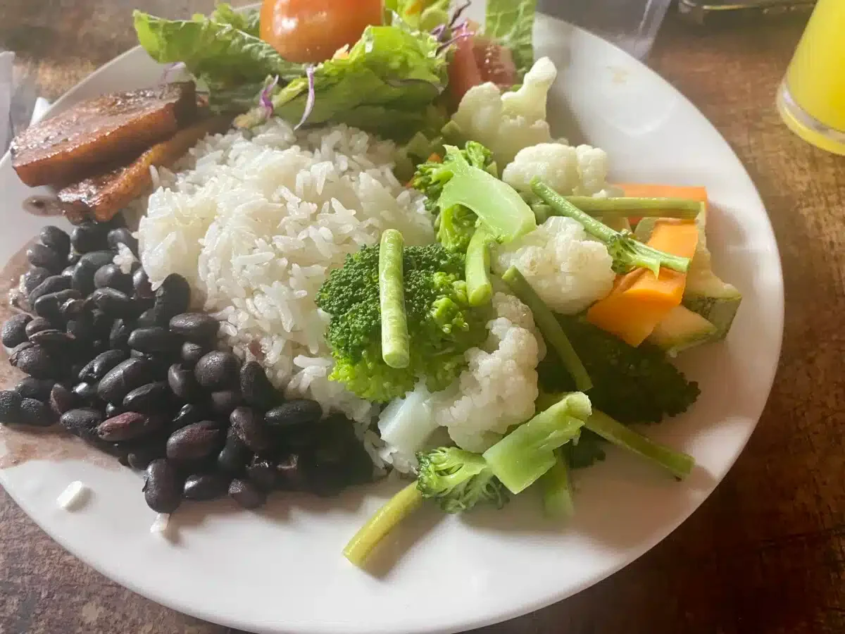 My typical vegan lunch.