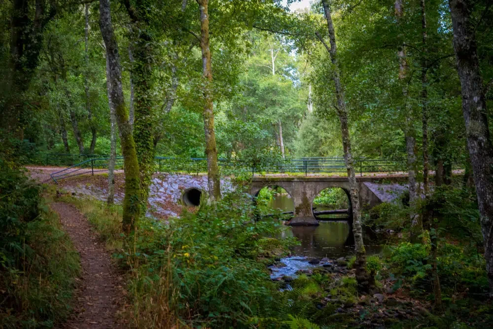 Bridge over the river Rego de Mera on the hiking trail Ruta Dos Muinos, near Lugo in Galicia, Spain. Alternative route for Camino Primitivo