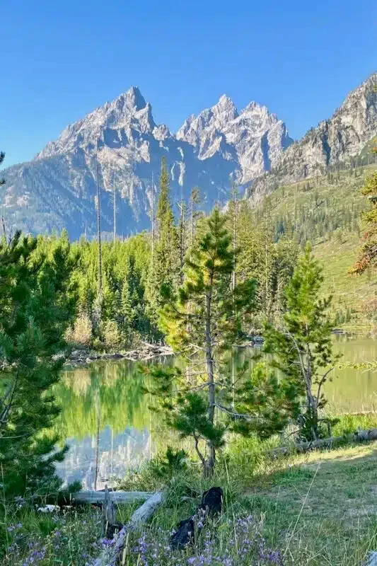 Lesser-known hikes in Jackson Hole string lake