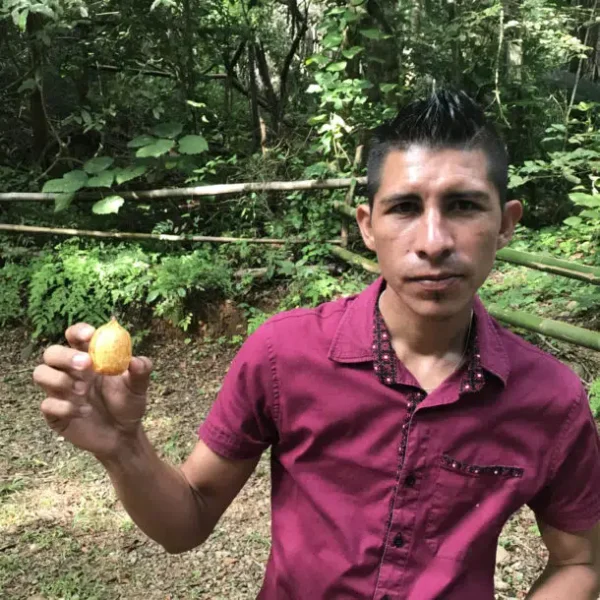 Lo de Perla Jungle Adventure