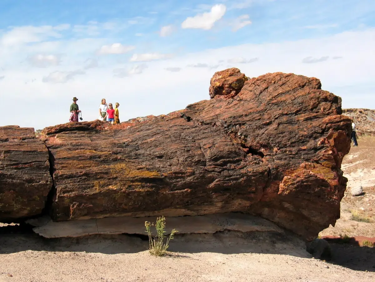 Petrified Forest - Arizona Road Trip