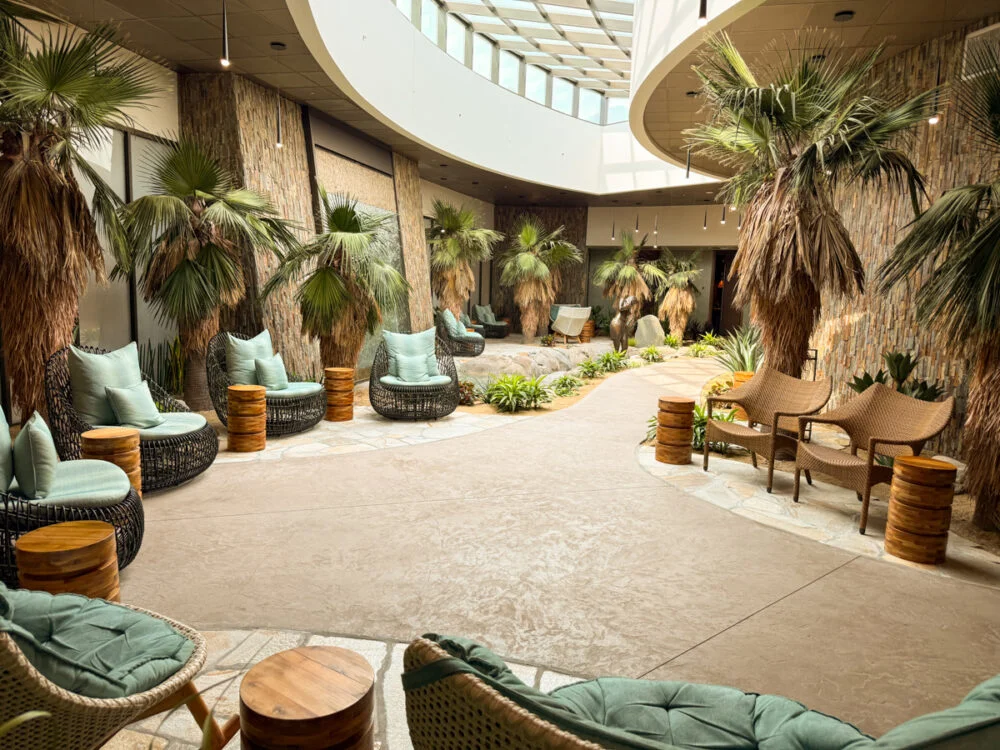 Tranquil room with palm trees and chairs under a skylight