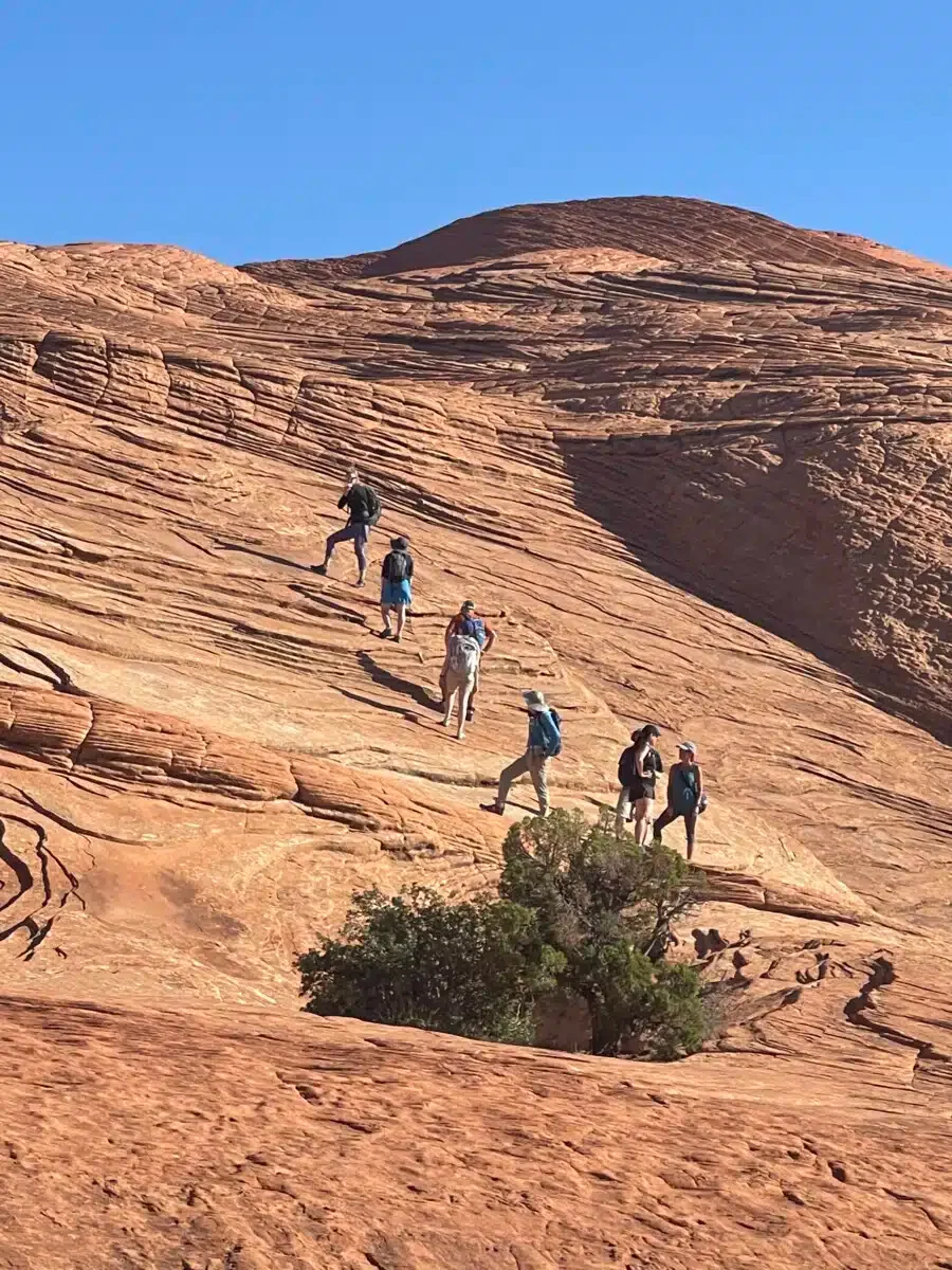 Hikers Hiking up the Steep Sandstone Surface in Snow Canyon State Park.