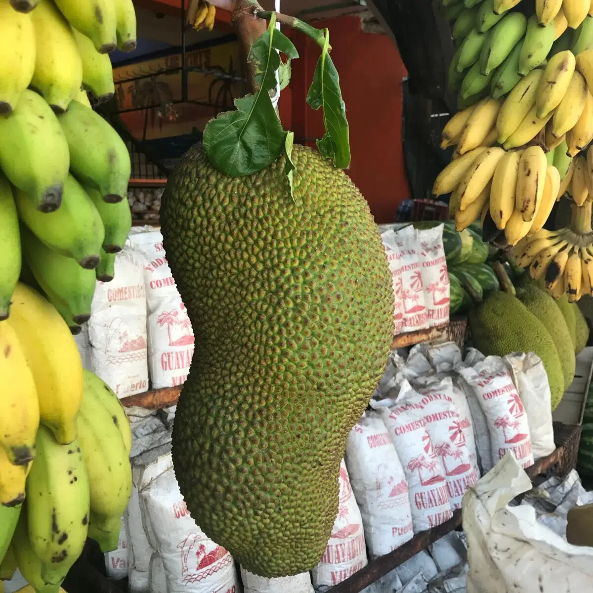 Fruit Stand San Blas