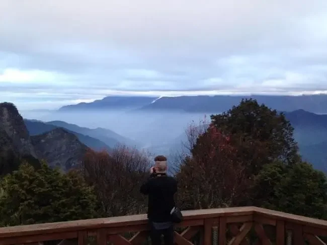 Cloud Sea: Things to Do in Alishan